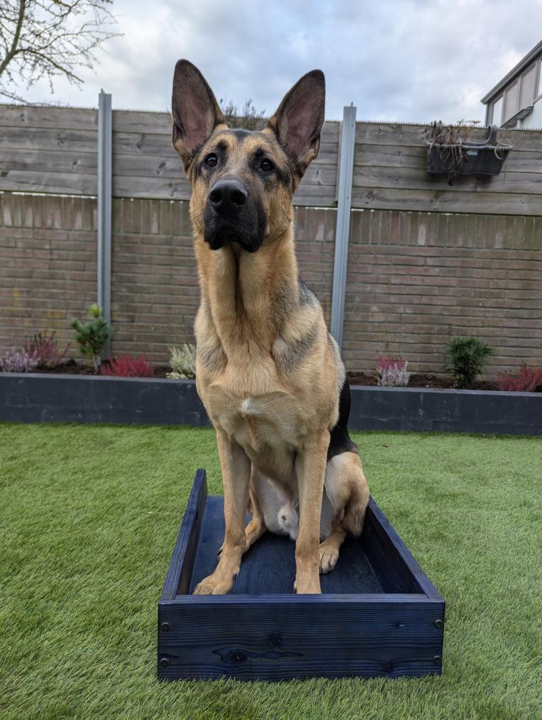 The Box - Place & Shapebox ARTD