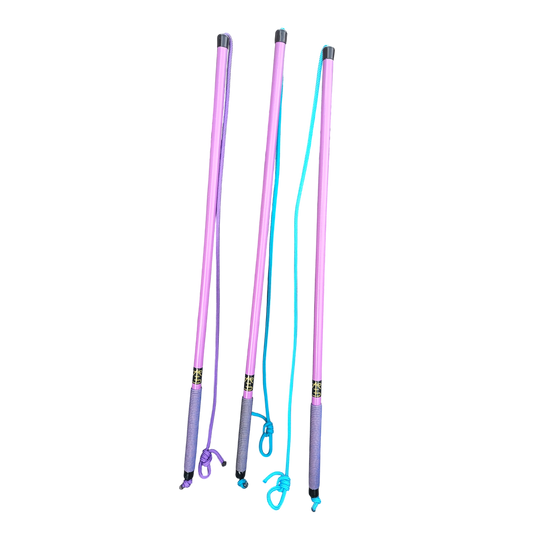 ARTD Flirtpole - Perfecte Training/spel