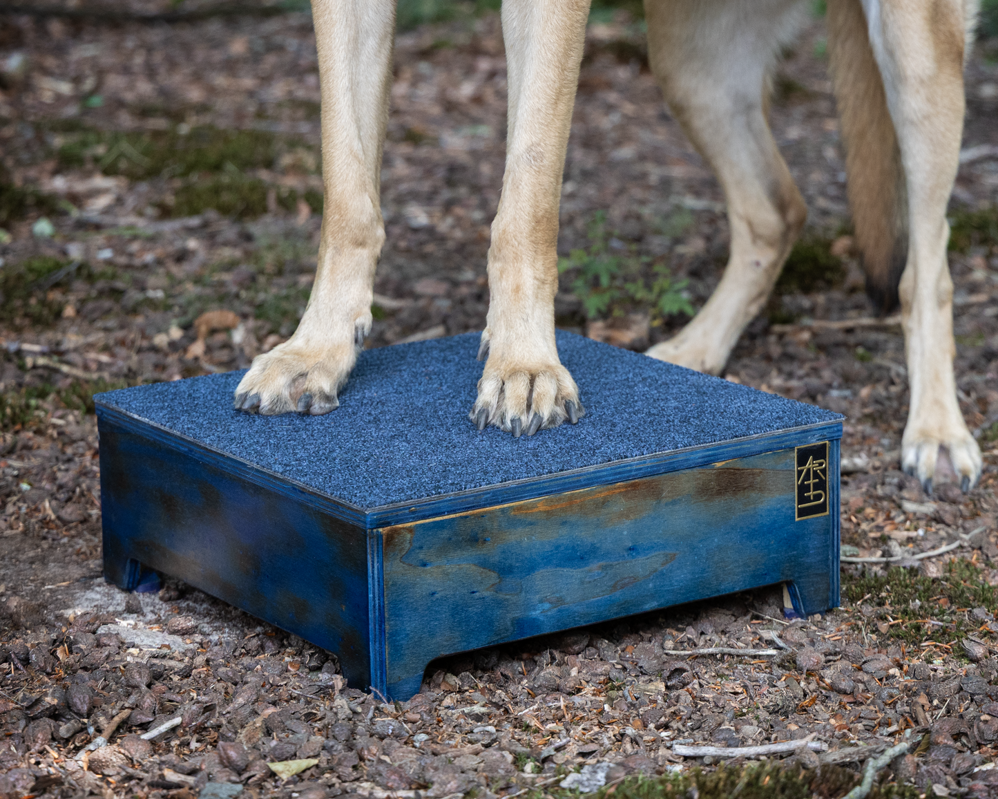 ARTD Pivot Training Box - Color Standaard