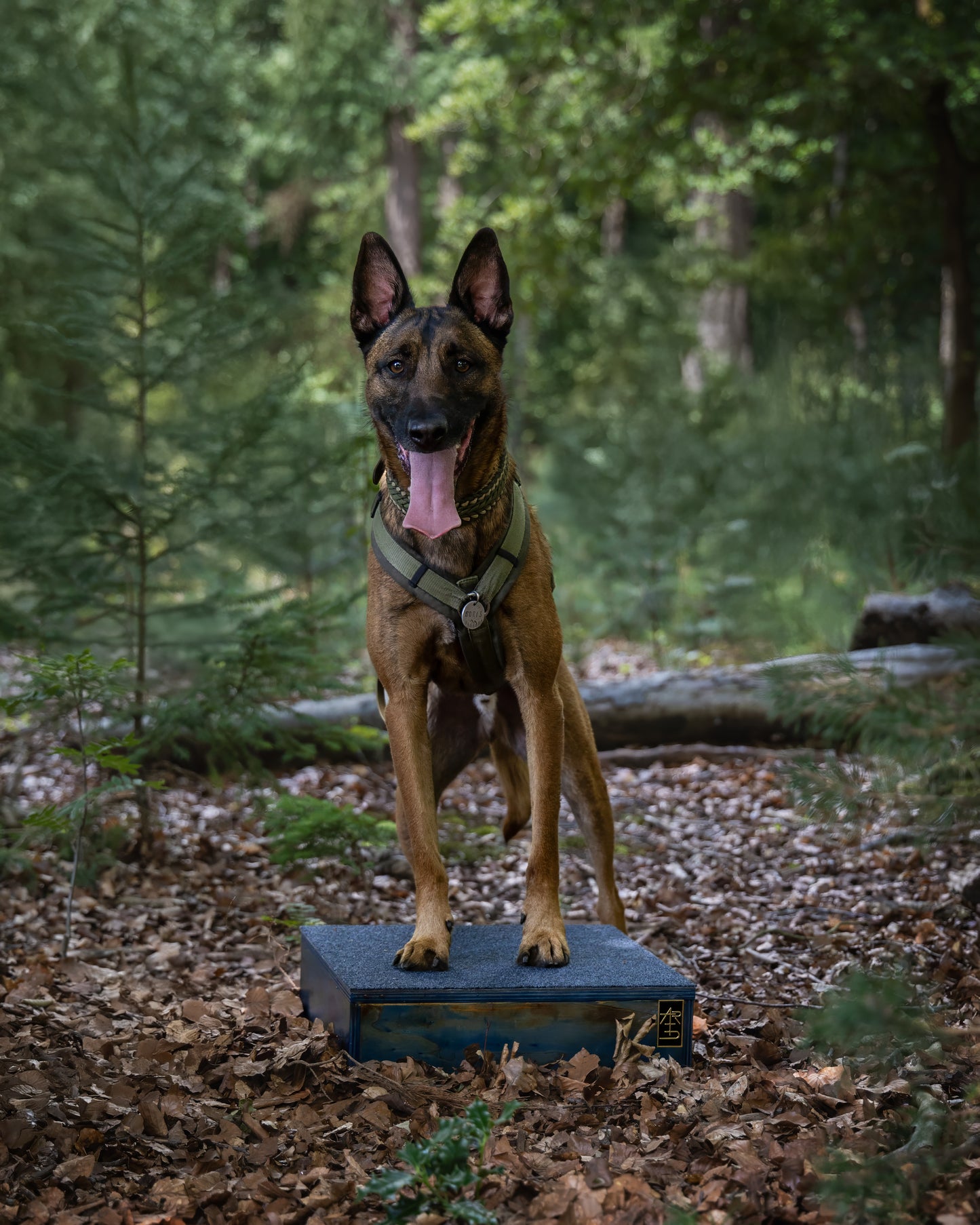 ARTD Custom Color Pivot Training Box - Klein"