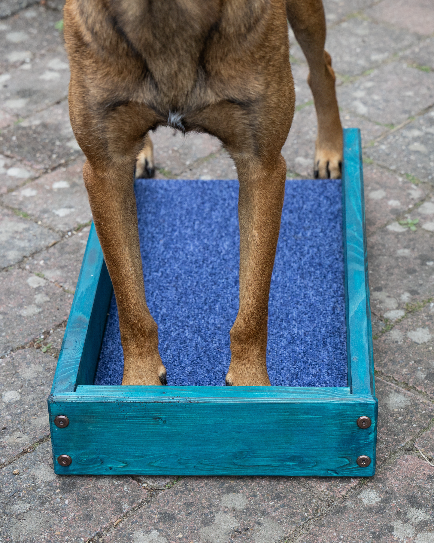 The Box - Place & Shapebox ARTD