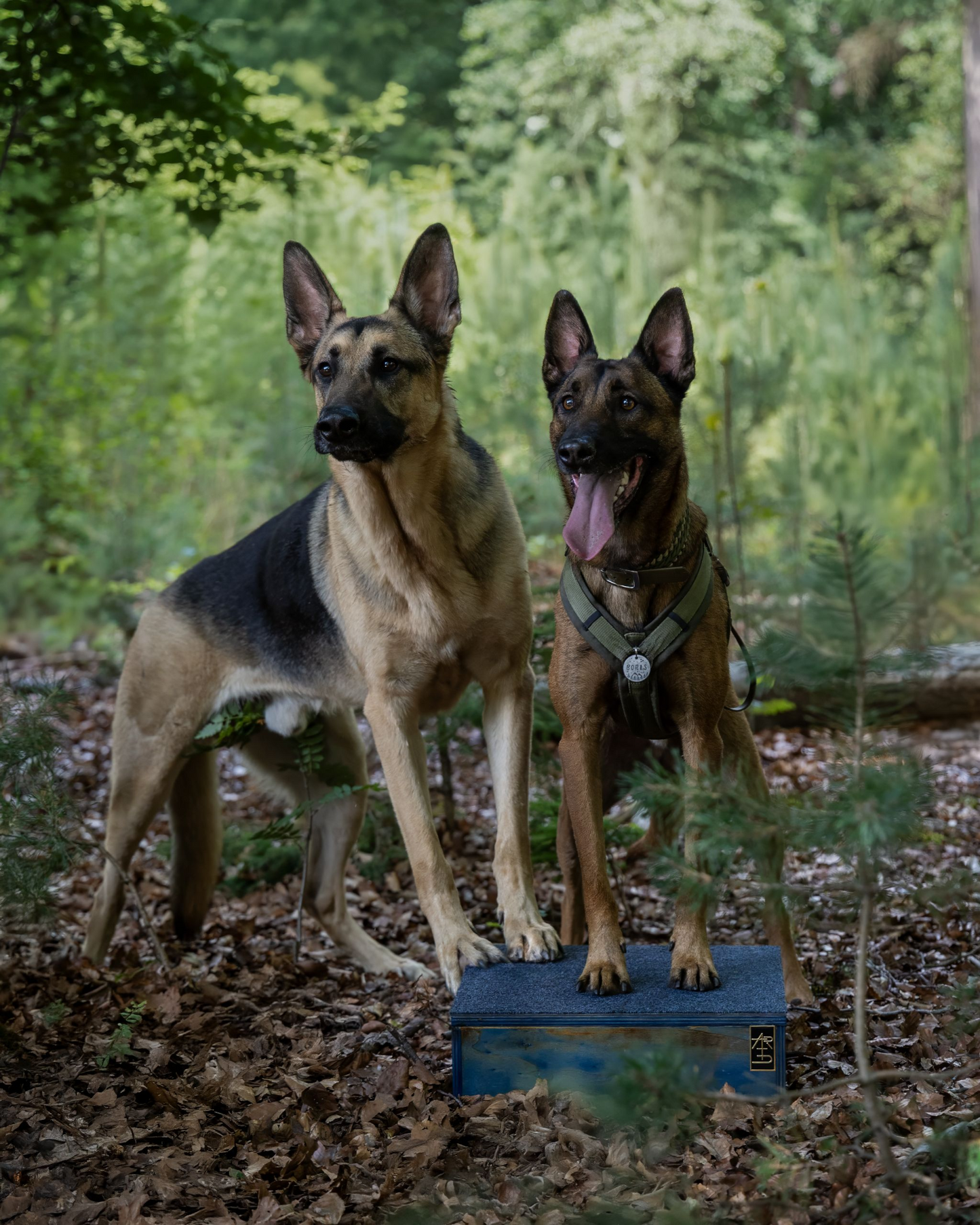 ARTD Pivot Training Box - Color Standaard